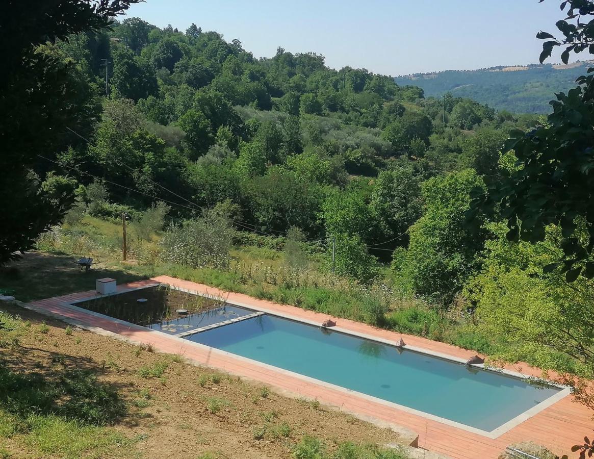 Podere Di Maggio - Glamping Tent 2 Santa Fiora Exteriör bild