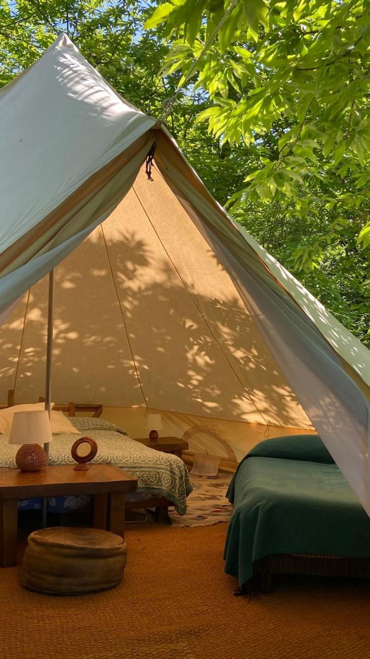 Podere Di Maggio - Glamping Tent 2 Santa Fiora Exteriör bild